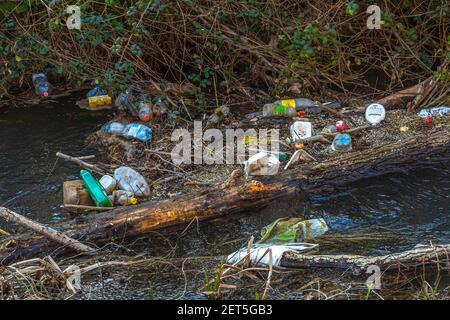 Rubbish carried by the river and trapped in the vegetation Stock Photo