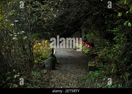 70 Jizo statues lined up in Kanmangafuchi Abyss on Daiya River in Nikko, Japan. Jizo is an image of a bodhisattva Ksitigarbha. This group of statues i Stock Photo