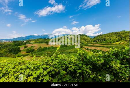 Italy Veneto Colli di Monfumo Stock Photo