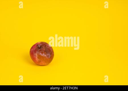 Rotten apple with a worm on a uniform yellow background. Stock Photo