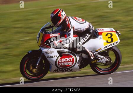 Randy Mamola (USA), Yamaha 500,Dutch GP 1986, Assen Stock Photo