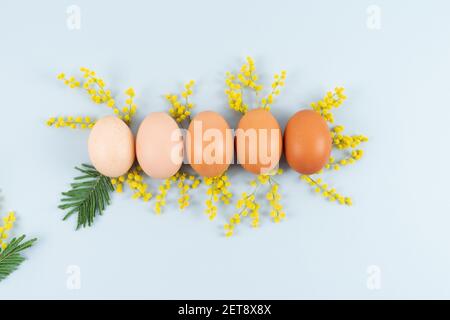 Eggs of different shades on blue background with yellow flowers decoration on blue background. Copy space. Stock Photo