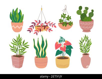 Collection of houseplants isolated on white background. Set of eight decorative indoor and office plants in pot. Flat colorful vector illustration. Se Stock Vector