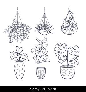 Collection of hand drawn houseplants isolated on white background. Set of decorative indoor and office plants in pot. Vector illustration with a splas Stock Vector