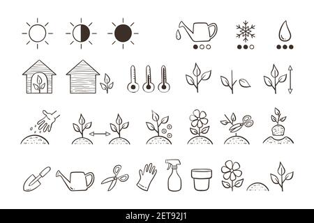 Plant icon set. Collection of icons for descripting the characteristics and needs of each type of plant. Doodle vector icons isolated on white backgro Stock Vector