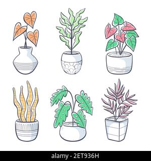 Collection of hand drawn houseplants isolated on white background. Set of decorative indoor and office plants in pot. Vector illustration with a splas Stock Vector