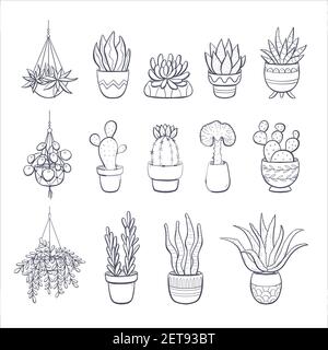 Collection of hand drawn succulents and cactus isolated on white background. Set of 14 decorative plants growing in pot. Vector doodle illustration. Stock Vector