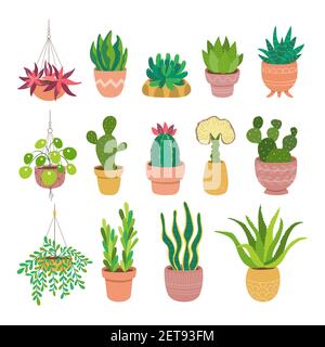 Collection of succulents and cactus isolated on white background. Set of 14 decorative plants growing in pot. Flat colorful vector illustration. Stock Vector