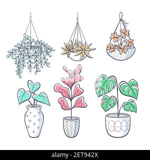 Collection of hand drawn houseplants isolated on white background. Set of decorative indoor and office plants in pot. Vector illustration with a splas Stock Vector