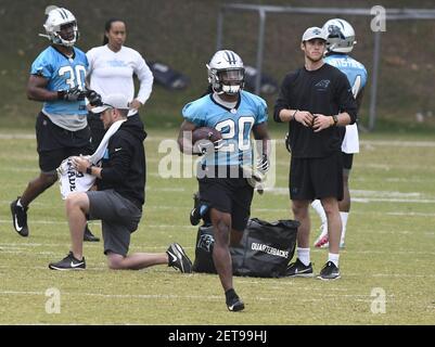 Carolina Panthers: Jordan Scarlett a bright spot in defeat