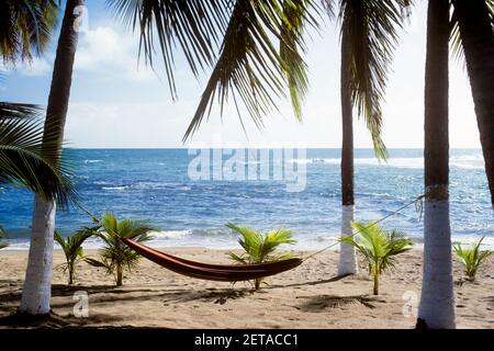 1990s CARIBBEAN SCENIC HAMMOCK AND PALMS ON BEACH AT WATERS EDGE PATILLAS PUERTO RICO - kr94285 BLE001 HARS PALMS RELAXATION REST VACATIONS OLD FASHIONED Stock Photo
