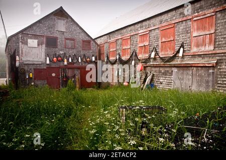 Fish house/smokehouse shed, Seal Cove, Grand Manan Island, New Brunswick, Canada Stock Photo