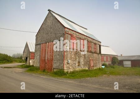 Fish house/smokehouse shed, Seal Cove, Grand Manan Island, New Brunswick, Canada Stock Photo