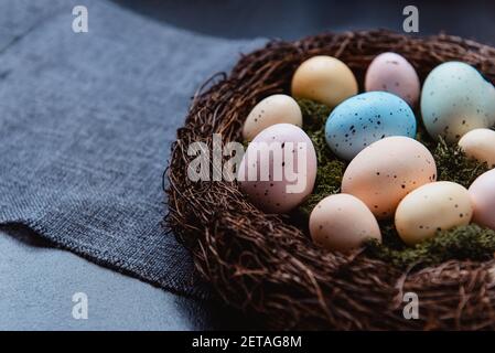 Close up wicker nest with moss and colored Easter eggs on gray linen fabric napkin on dark background. Dark mood style. Happy Easter holiday Stock Photo
