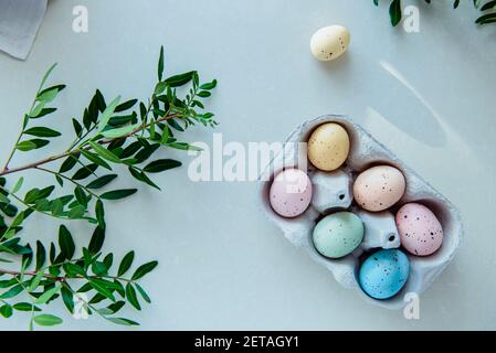 Top view Easter holiday concept. Pastel colors painted eggs in a cardboard box and a fresh green branch on white background. Soft natural light Stock Photo