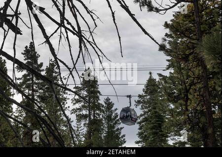 February 11, 2021, South Lake Tahoe, California, USA: A ski gondola from Heavenly Valley Ski Resort is framed by scorched branches as it glided above a prescribed burn at Van Sickle Bi-State Park in South Lake Tahoe on Thursday, Feb. 11, 2021. 'This Bi-State Park is one of the closest recreational spots accessed by the casino corridor and the biggest bed base here in South Lake Tahoe so we thought it was very important to come in here and mitigate the fire danger,'' said Milan Yeates, forest management coordinator at the California Tahoe Conservancy. (Credit Image: © Renée C. Byer/ZUMA Wire Stock Photo