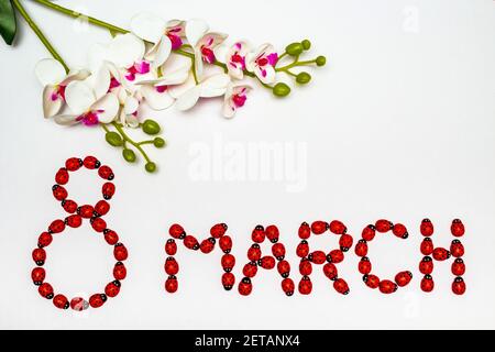 Ladybugs on a white background that move to make the a word March 8 with a flower on top of the background. International Women's Day concept Stock Photo