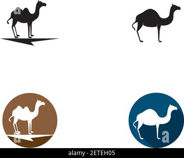 Camel logo template vector icon illustration design Stock Vector