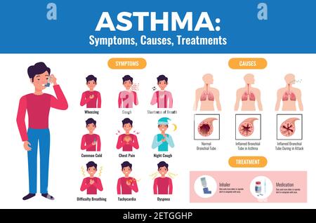 Asthma symptoms causes treatment flat medical poster with patient holding inhaler and inflamed bronchial tube vector illustration Stock Vector