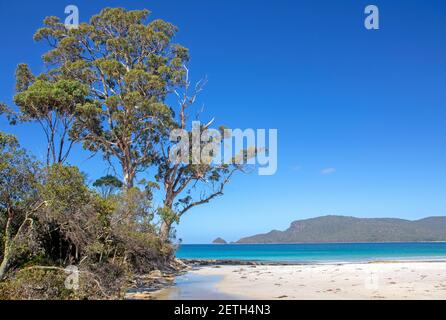 Adventure Bay and Fluted Cape, Bruny Island Stock Photo