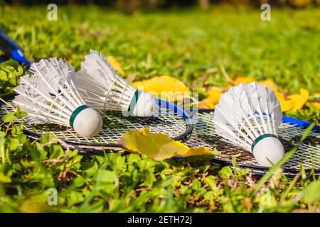 Two badminton rackets with three shuttlecocks lie on the grass. Close-up. The concept of outdoor sports games Stock Photo