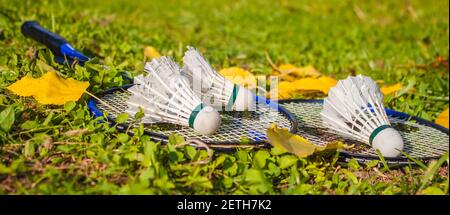 Badminton rackets and shuttlecocks lie on the grass. The concept of outdoor sports games Stock Photo