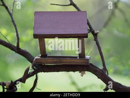 A bird feeder in the form of a house with a wooden roof hangs on a tree. Bird care. Wooden house close-up with copyspace Stock Photo