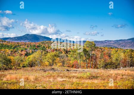A mesmerizing colorful atmospheric landscape with an autumn maple grove in yellow and red tones which attract tourists on a panorama of a valley with Stock Photo