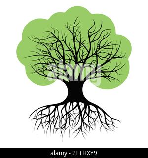 Tree with green foliage Stock Vector