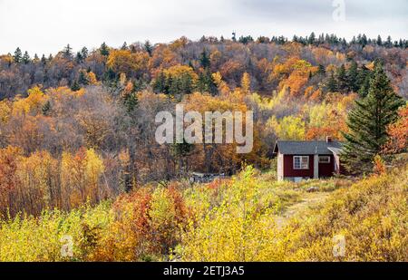 A mesmerizing colorful atmospheric landscape with Hillside House surrounded by an autumn maple trees in yellow and red tones on the mountain ridge in Stock Photo
