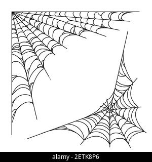 Corner Spider Web In Doodle Style Stock Illustration - Download Image Now -  Spider Web, Computer Graphic, Corner - iStock