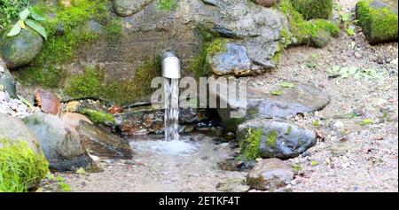 Spring in the village flowing into the river Stock Photo