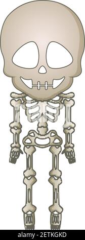 Vector illustration of Cute skeleton cartoon Stock Vector
