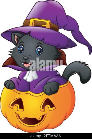 Halloween Illustration of a Cat Dressed as a Witch Stock Vector Image ...