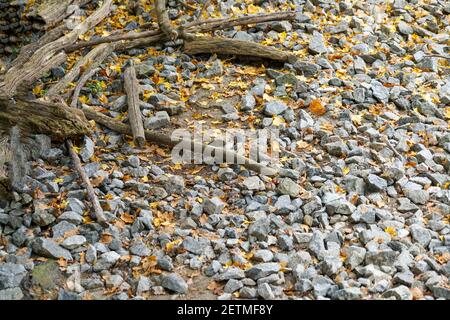 Granite is rich in quartz, mica and feldspar photographed in daylight in Bavaria Stock Photo