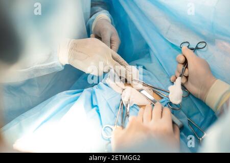 Close-ups of doctor's hands in medical gloves during surgery Stock Photo