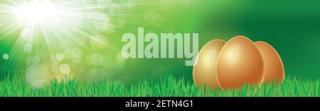 Golden eggs of different shades on green grass Stock Vector