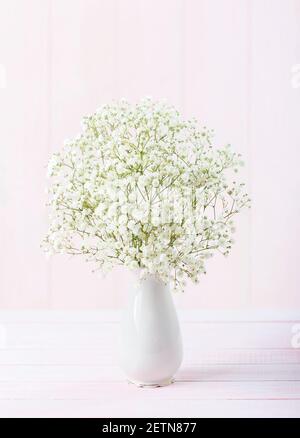 Small bouquet of Gypsophila flowers in porcelain white  vase against a light pale  pink wooden background. Selective focus. Stock Photo