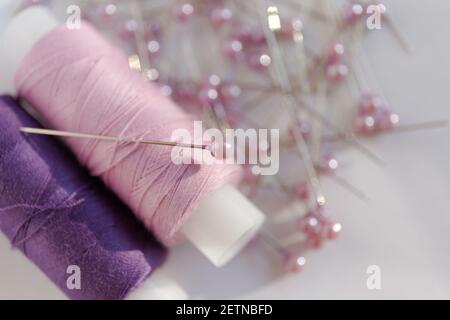 Pink and purple threads in reels on a blur background of pins with pink pearl heads. Close-up photo Stock Photo