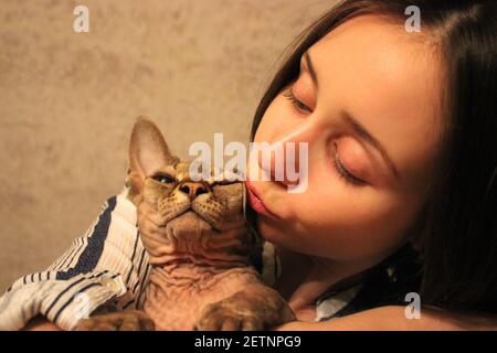 A girl hugs a lovely Canadian Sphynx cat. Portrait of the bald gray cat and mistress. The relationship between human and pet concept. Blue silicone an Stock Photo