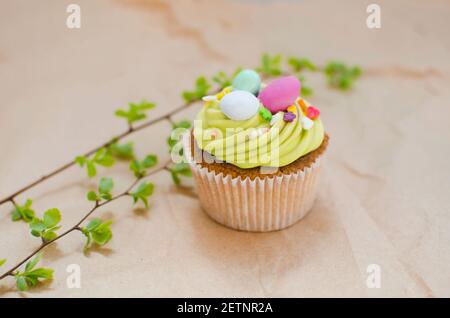 Bright pistachio Easter cupcakes with decorations close up Stock Photo
