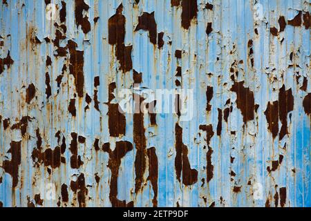 Old metal door painted blue and broken and rusty areas. Image for backgrounds and designs Stock Photo