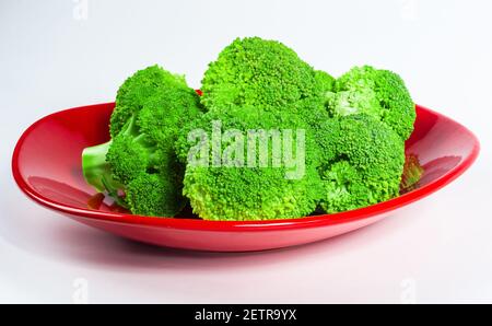 Large raw fresh head of broccoli cabbage in a red plate on white background, healthy vegetarian food, close-up. Stock Photo