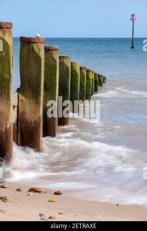 A wooden groyne on Hornsea beach on the East Yorkshire coast Stock Photo