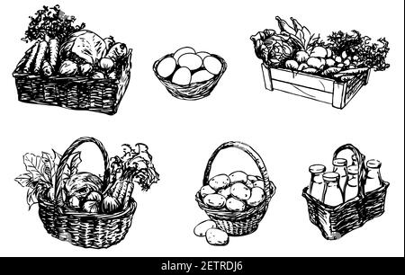 970+ Fruit Basket Stock Illustrations, Royalty-Free Vector Graphics & Clip  Art - iStock