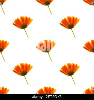 orange flowers with a green stem are isolated on a white background. seamless pattern. High quality photo Stock Photo