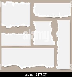 Set of different sizes of white torn paper on a gray background. Can write text, alphabet letters and other symbols. Vector illustration. EPS 10 Stock Vector