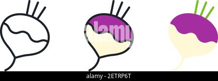 Turnip icon. Linear color icon, contour, shape, outline isolated on white. Thin line. Modern design. Vector set. Illustrations of vegetables. Stock Vector