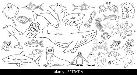 Big set vector cartoon outline isolated sea ocean north animals. Doodle whale, dolphin, shark, stingray, jellyfish, fish, crab, king Penguin chick, oc Stock Vector