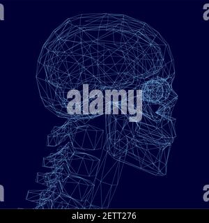 Abstract wireframe of human skull made of blue lines on a dark background. Side view. Vector illustration. Stock Vector